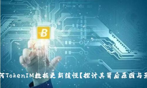 为何TokenIM数据更新缓慢？探讨其背后原因与影响