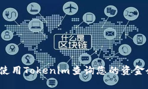 如何使用Tokenim查询您的资金余额？