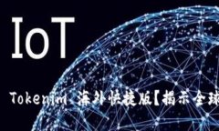 为什么选择 Tokenim 海外快捷版？揭示全球支付的