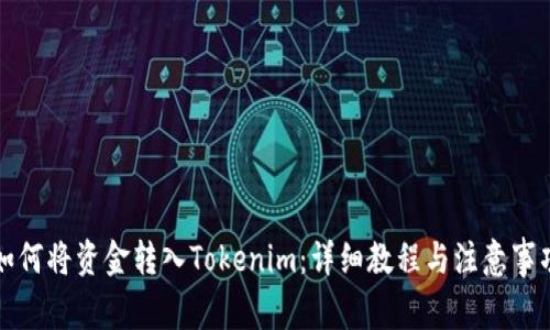 如何将资金转入Tokenim：详细教程与注意事项