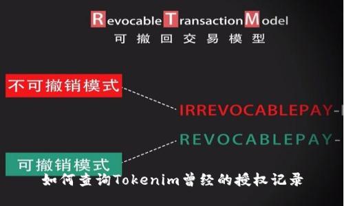 如何查询Tokenim曾经的授权记录
