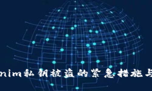 应对Tokenim私钥被盗的紧急措施与预防指南