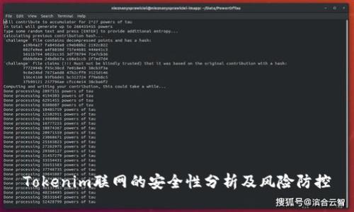 Tokenim联网的安全性分析及风险防控