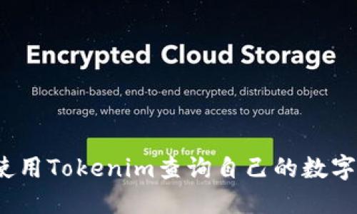 如何使用Tokenim查询自己的数字资产？