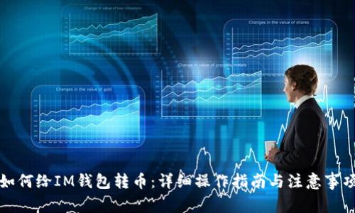 如何给IM钱包转币：详细操作指南与注意事项