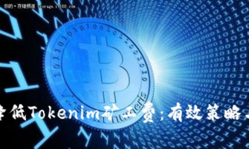 如何降低Tokenim矿工费：有效策略与建议