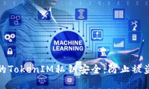 如何保护你的TokenIM私钥安全：防止被盗的有效策略