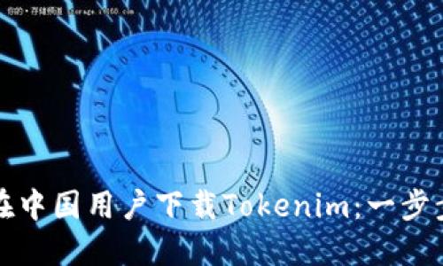 如何在中国用户下载Tokenim：一步步详解