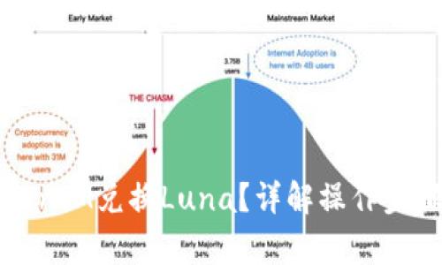 如何使用TokenIM兑换Luna？详解操作步骤与注意事项
