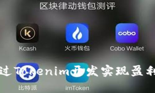如何通过Tokenim开发实现盈利与创新