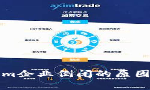 探析Tokenim企业倒闭的原因与未来展望