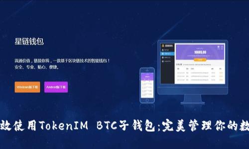 如何高效使用TokenIM BTC子钱包：完美管理你的数字资产