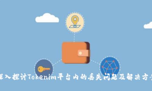 深入探讨Tokenim平台内的丢失问题及解决方案
