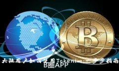 大陆用户如何使用Tokenim：一步步指南