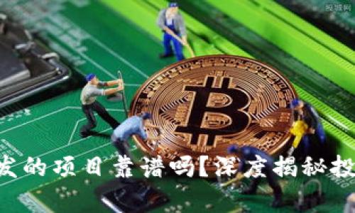 : Tokenim开发的项目靠谱吗？深度揭秘投资前景与风险