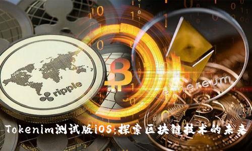 Tokenim测试版iOS：探索区块链技术的未来