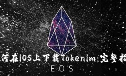 如何在iOS上下载Tokenim：完整指南