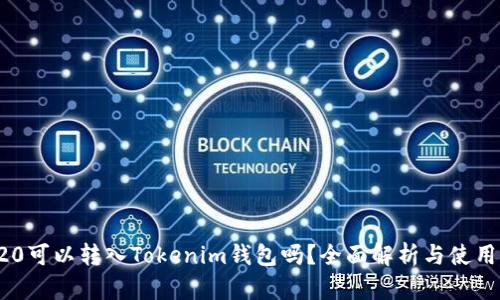 TRC20可以转入Tokenim钱包吗？全面解析与使用指南