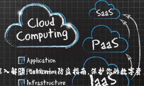 深入解读：tokenim防盗指南，保护你的数字资产