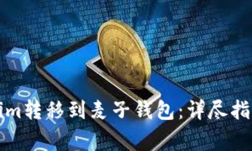 如何将Tokenim转移到麦子钱包：详尽指南及注意事项