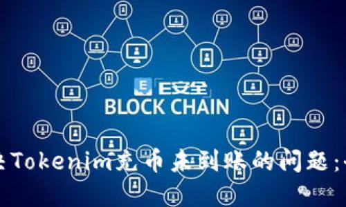 如何解决Tokenim充币未到账的问题：全面指南