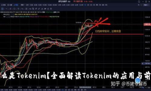 什么是Tokenim？全面解读Tokenim的应用与前景