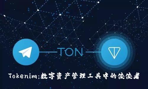Tokenim：数字资产管理工具中的佼佼者