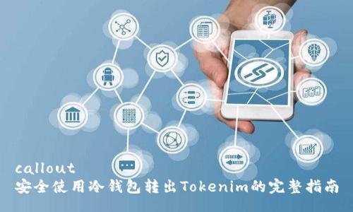 callout  
安全使用冷钱包转出Tokenim的完整指南