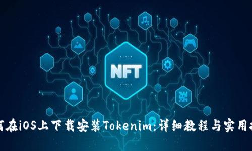 如何在iOS上下载安装Tokenim：详细教程与实用技巧