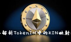 深入解析TokenIM中的KIN映射机制