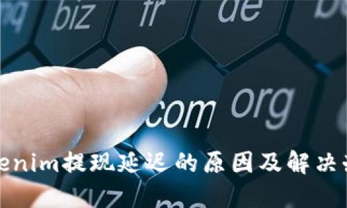 Tokenim提现延迟的原因及解决办法