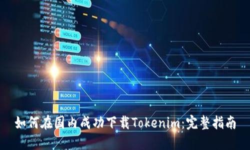 如何在国内成功下载Tokenim：完整指南