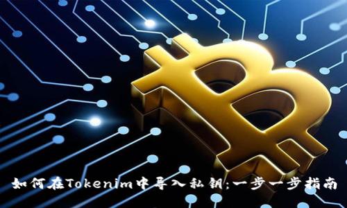 如何在Tokenim中导入私钥：一步一步指南