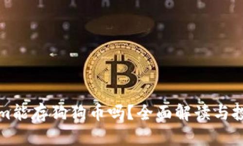 Tokenim能存狗狗币吗？全面解读与投资指南