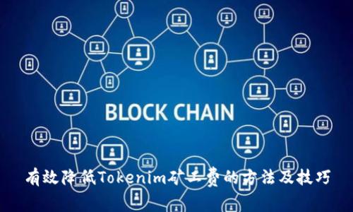 有效降低Tokenim矿工费的方法及技巧