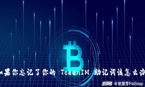 如果你忘记了你的 TokenIM 助记词该怎么办？