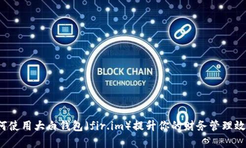 如何使用大白钱包（fir.im）提升你的财务管理效率？