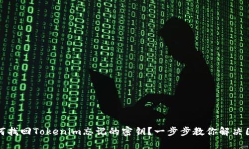如何找回Tokenim忘记的密钥？一步步教你解决困扰