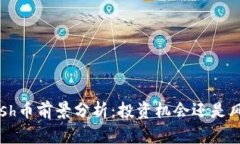 Kcash币前景分析：投资机会还是风险？