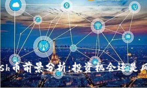 Kcash币前景分析：投资机会还是风险？