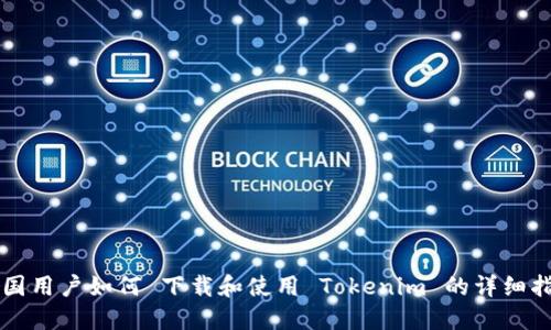 中国用户如何 下载和使用 Tokenim 的详细指南
