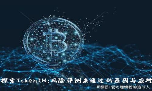 深入探索TokenIM：风险评测未通过的原因与应对策略