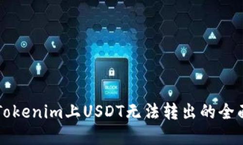 解决Tokenim上USDT无法转出的全面指南