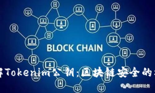 深入了解Tokenim公钥：区块链安全的核心要素