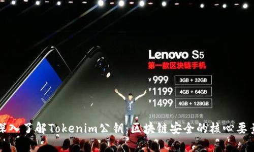 深入了解Tokenim公钥：区块链安全的核心要素