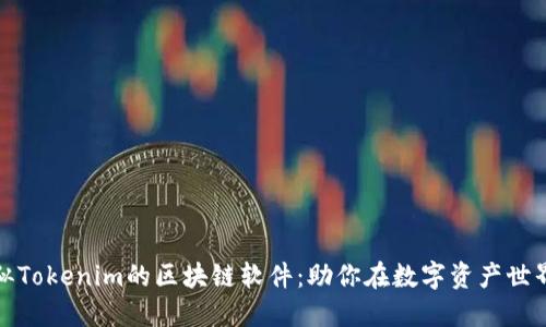 探索类似Tokenim的区块链软件：助你在数字资产世界中腾飞