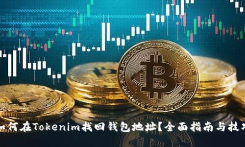 如何在Tokenim找回钱包地址？全面指南与技巧
