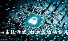 全面解析Tokenim系统开发：打造高效的分布式应用