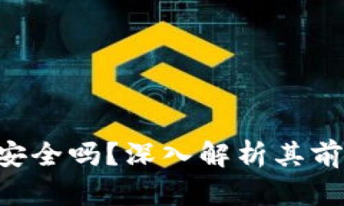 Tokenim安全吗？深入解析其前景与风险