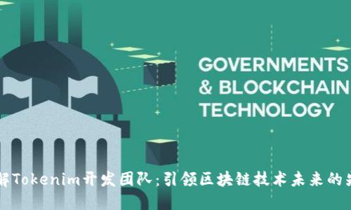 了解Tokenim开发团队：引领区块链技术未来的先锋